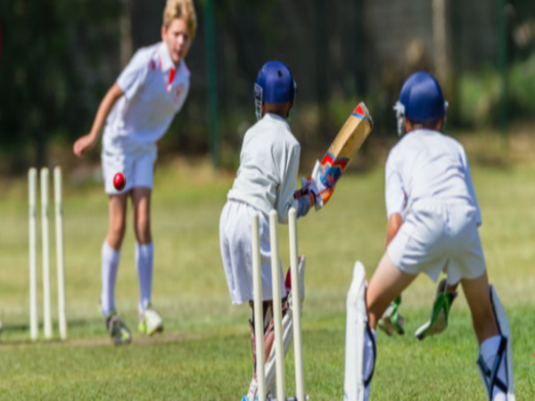 Cricket Camps